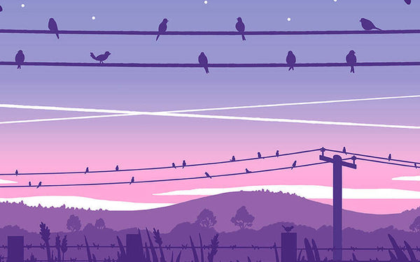 birds on electric lines illustration by Tom Hardwick