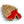 Hermit Crab Wooden Pin Badge