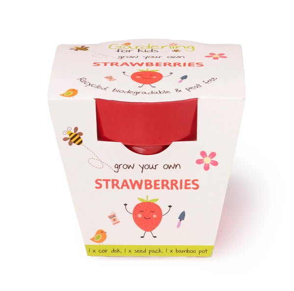 Strawberries Growing Kit