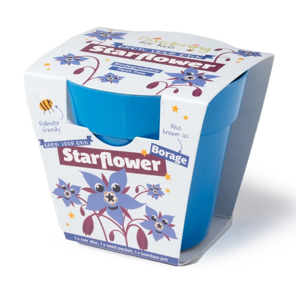 Starflower Growing Kit by Gardening for Kids