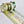 Mistletoe Paper Tape - 5 Pack