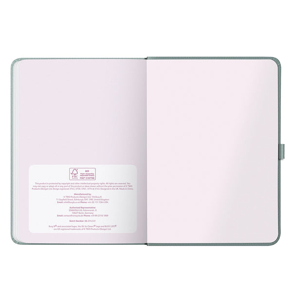 2027 Busy Life Diary - Sage