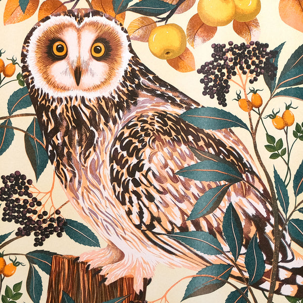 Autumn Owl