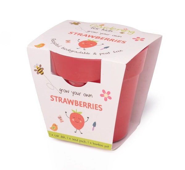 Strawberries Growing Kit