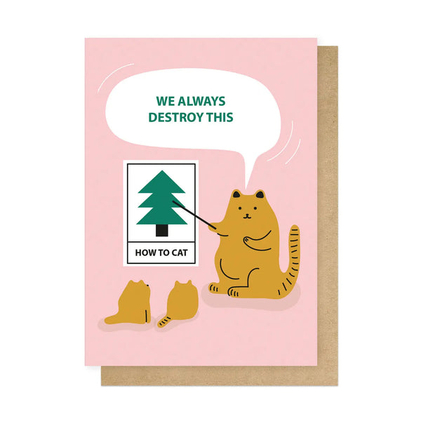 Cats Planning Christmas