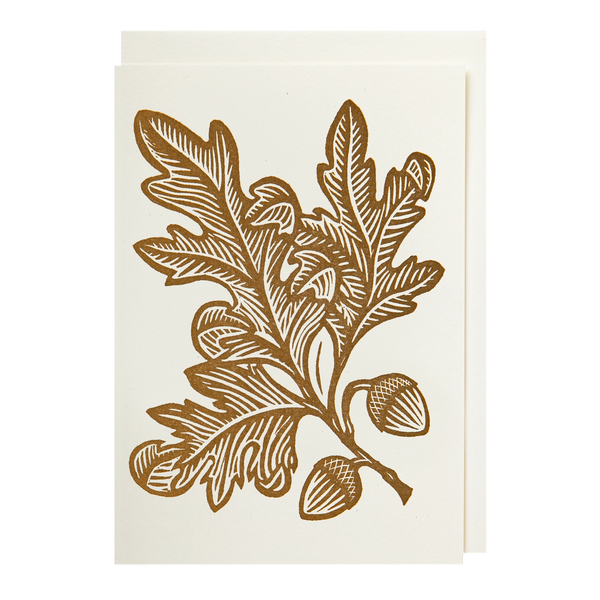 Acorns Mini Card