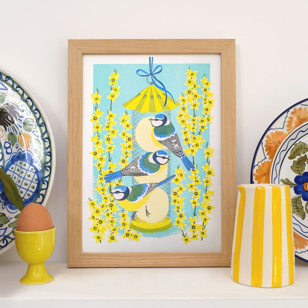 Blue Tits & Forsythia