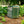 Gardening Seed Storage Tin