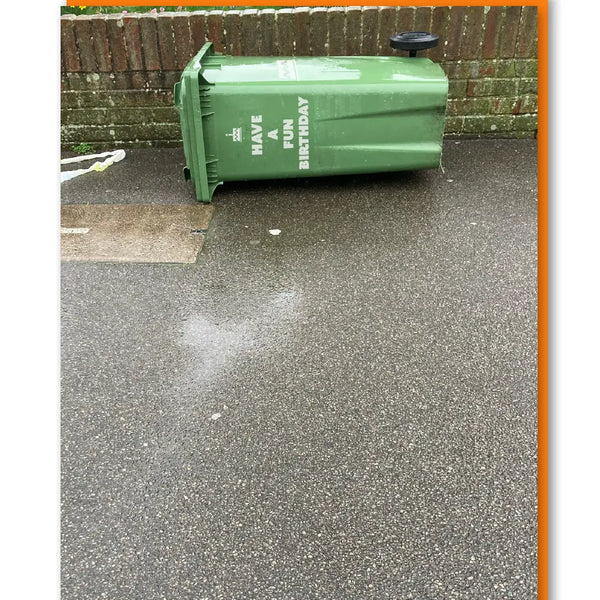 Have a Fun Birthday Bin