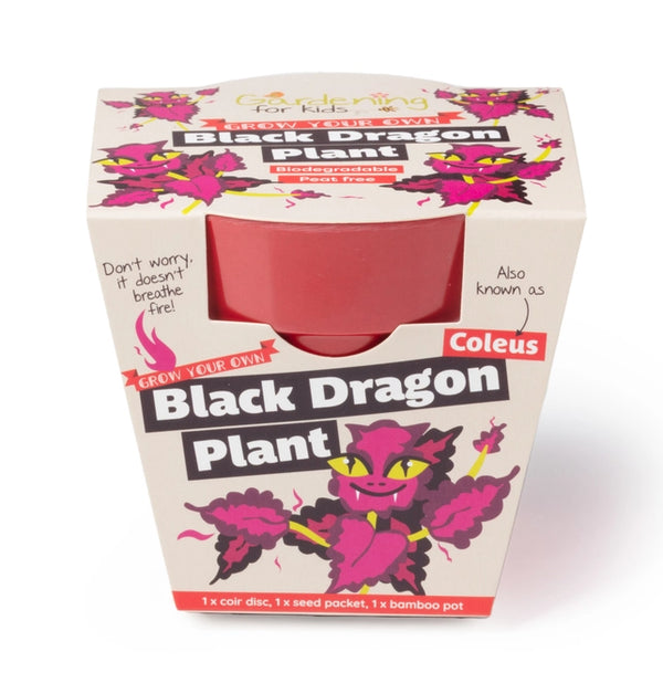 Black Dragon Plant Growing Kit