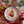 Dear Santa Dinner Plate