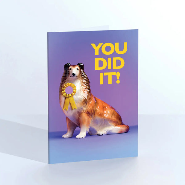 You Did It Dog