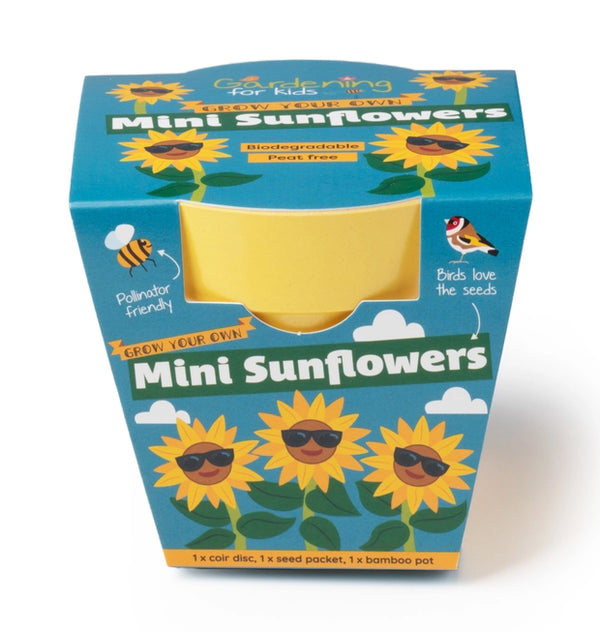 Mini Sunflowers Growing Kit