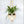 Load image into Gallery viewer, Macrame Beaded Planter Craft Kit
