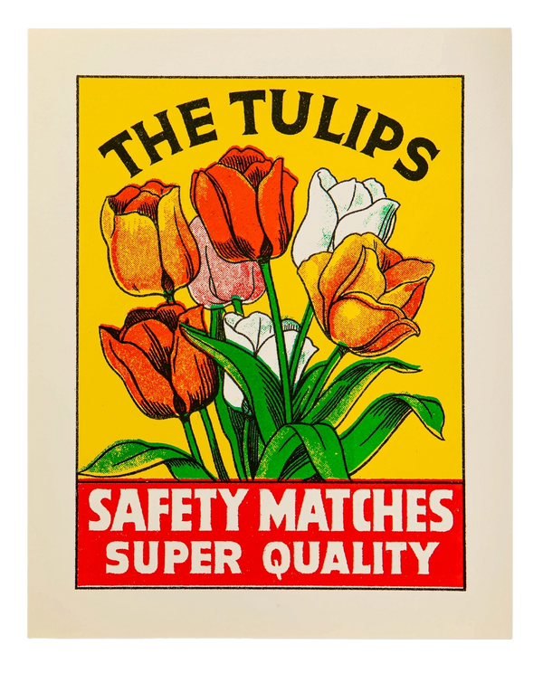 Tulips
