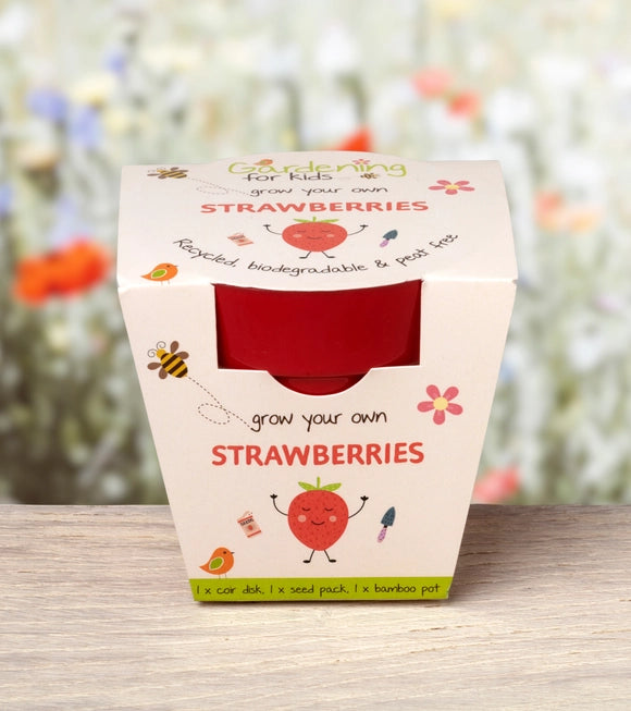 Strawberries Growing Kit