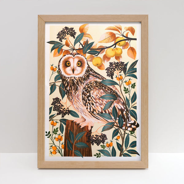Autumn Owl