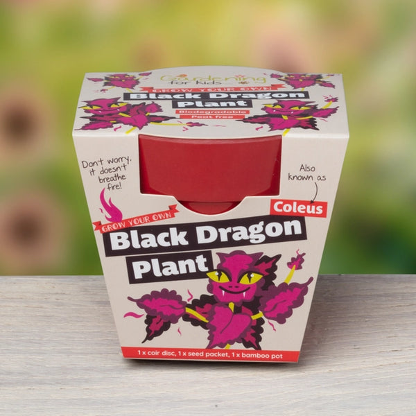 Black Dragon Plant Growing Kit