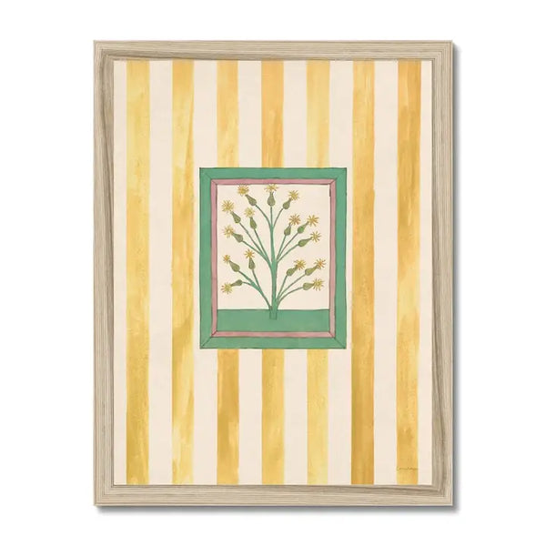 Book of Herbs Yellow Stripe