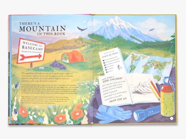 There's a Mountain in This Book