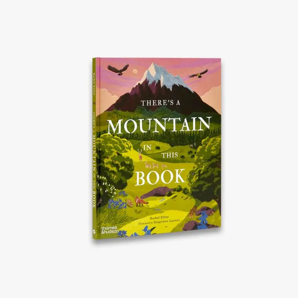 There's a Mountain in This Book by Rachel Elliot