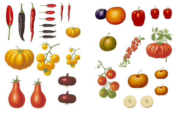 Collage the Botanic World