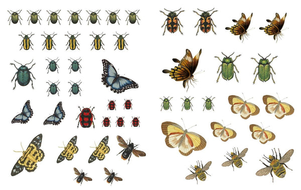 Collage the Botanic World