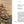 Sailor Song: Shanties and Ballads of the High Seas