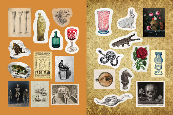 Apothecaries, Remedies and Rarities Sticker, Colour and Activity Book