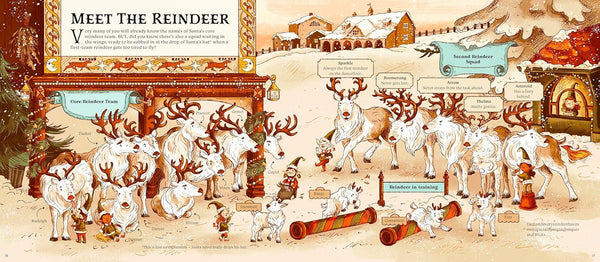 Secrets From The North Pole