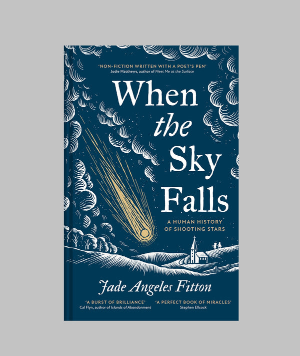 When the Sky Falls: A Human History of Shooting Stars