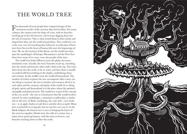 Treasury of Folklore: Woodlands and Forests by Willow Winsham, Dee Dee Chainey