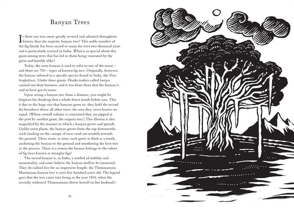 Treasury of Folklore: Woodlands and Forests by Willow Winsham, Dee Dee Chainey