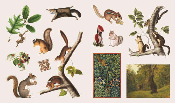 Sticker Treasury of Woodland Adventures