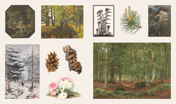 Sticker Treasury of Woodland Adventures