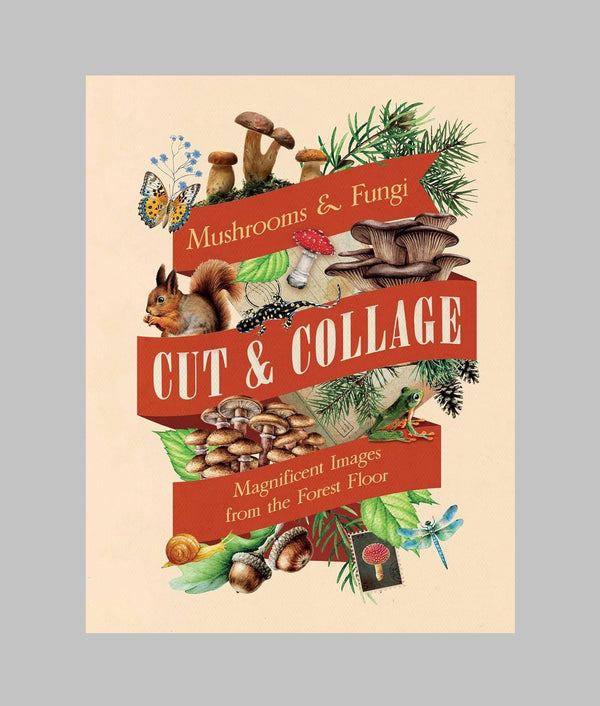 Cut and Collage Mushrooms and Fungi