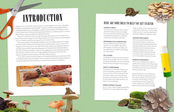 Cut and Collage Mushrooms and Fungi