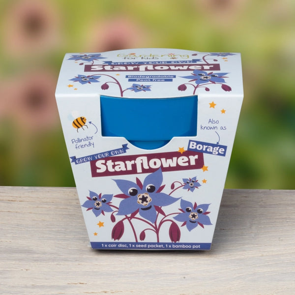 Starflower Growing Kit by Gardening for Kids