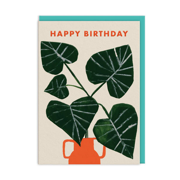 Monstera Vase Birthday