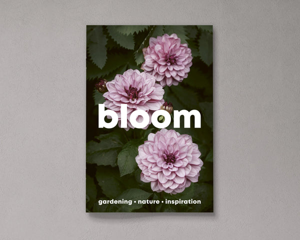 Bloom Issue 16 - Spring/Summer '24
