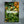 Bloom Issue 15 by Bloom