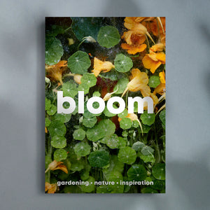 Bloom Issue 15 by Bloom