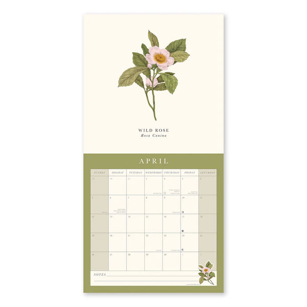 Flora Botanica 2026 Wall Calendar
