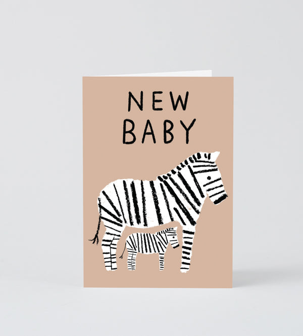 New Baby Zebra