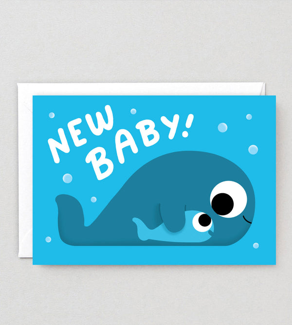 New Baby Whales