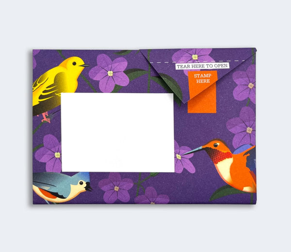 Pigeon Posted Pack of 6 - Carnival of Colour