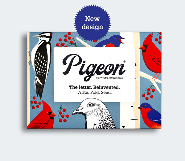 Pigeon Posted Pack of 6 - Carnival of Colour