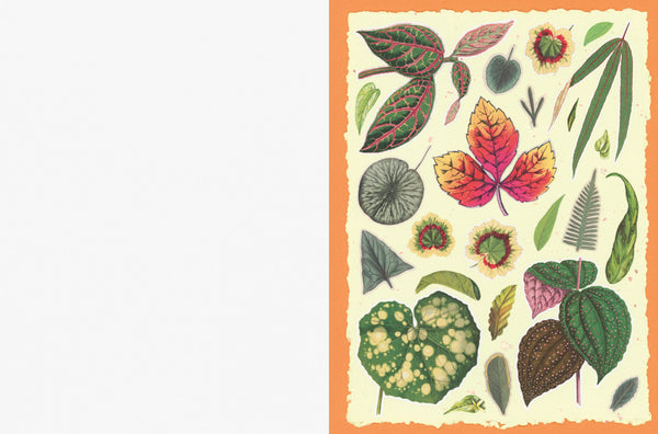 Cut-out Curiosities: Botanica