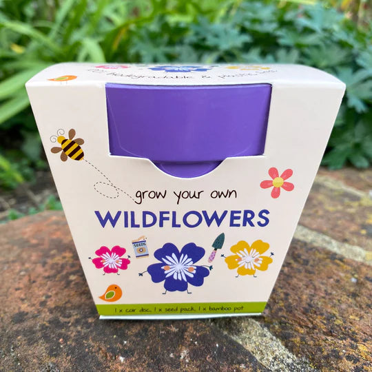 Wildflower Growing Kit