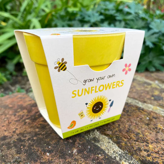 Sunflowers Growing Kit